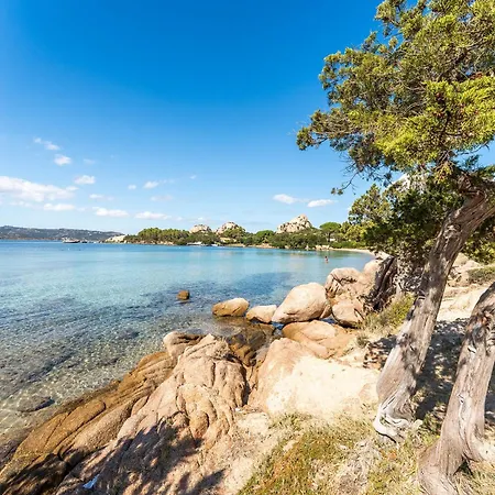 Complex With Pool And Sea View Baja Sardinia