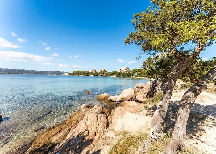 Complex With Pool And Sea View Baja Sardinia